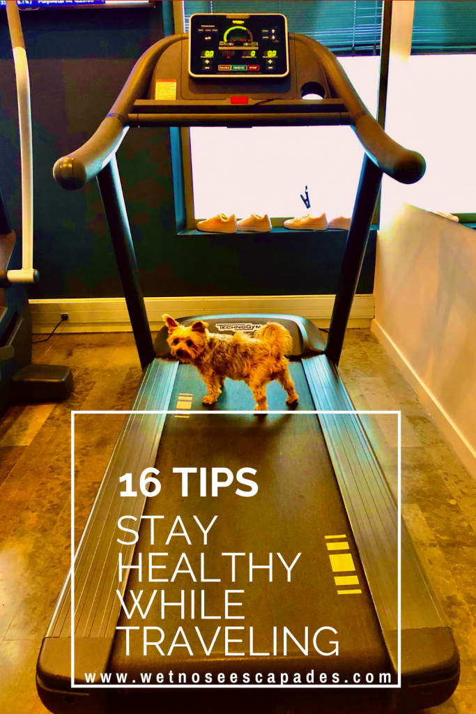 16 Tips To Stay Healthy While Traveling