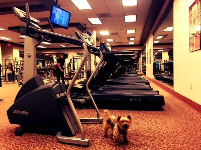 5 Tips on Finding a Gym While Traveling