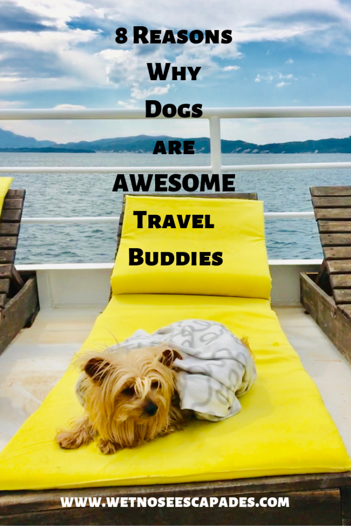 8 Reasons Why Dogs are AWESOME Travel Buddies