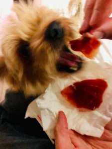 10 PAW-LICKIN' and healthy dog travel treats