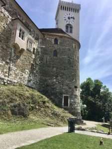 Is Ljubljana, Slovenia Dog-Friendly? A Yorkie's Guide to Visiting Ljubljana with a Dog