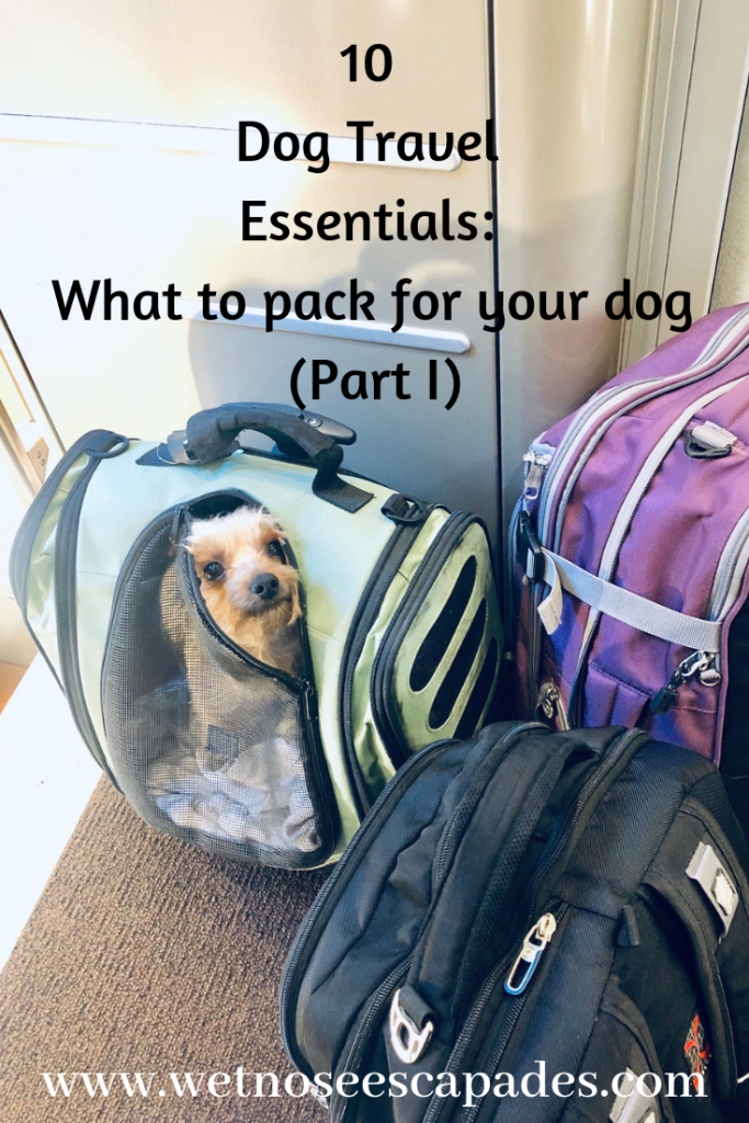 Travel essentials outlet for dogs