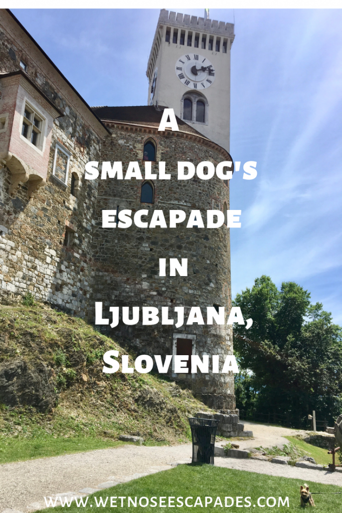 Is Ljubljana, Slovenia Dog-Friendly? A Yorkie's Guide to Visiting Ljubljana with a Dog
