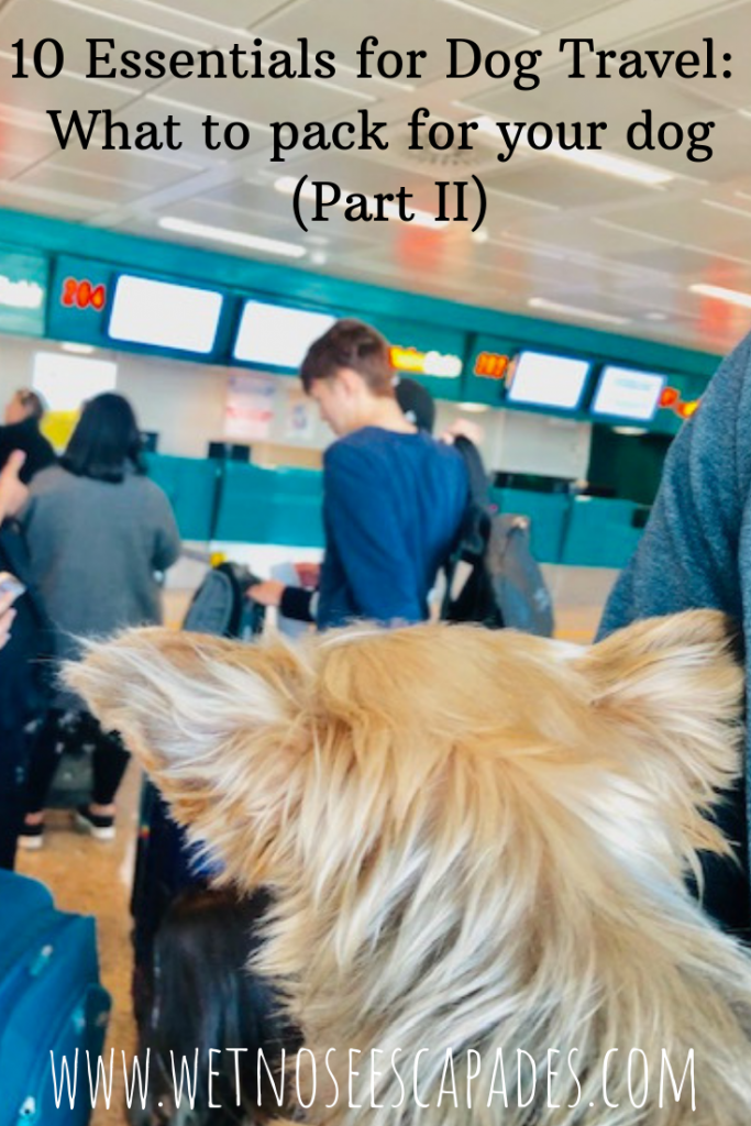 Essentials for Dog Travel_ What to pack for your dog (Part II)