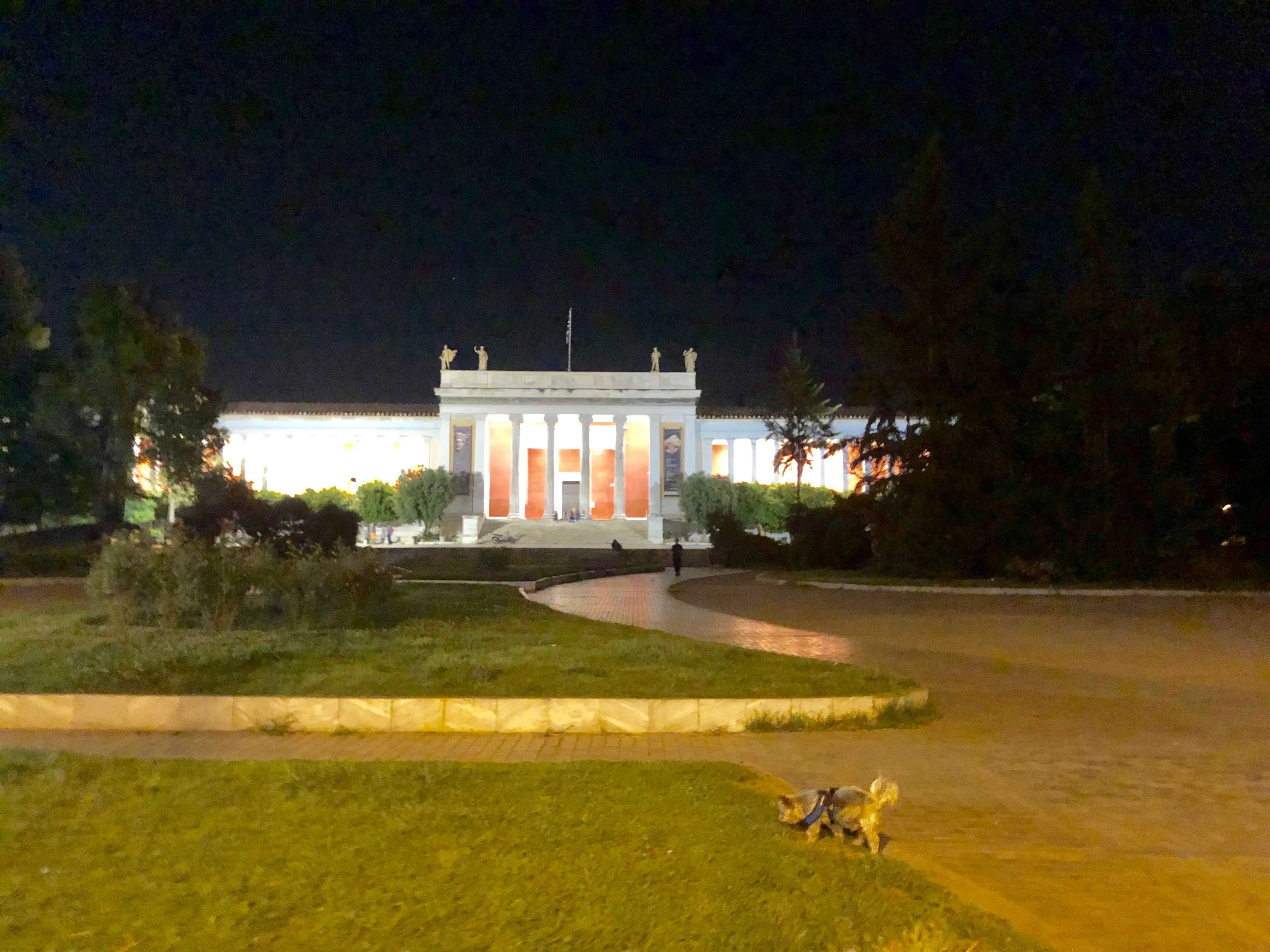 Dog Travel In Athens, Greece: A yorkie’s takeover of the ancient city