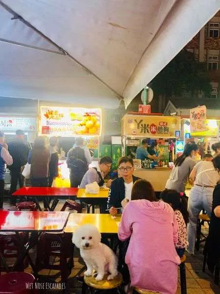 dog at night market in taipei taiwan