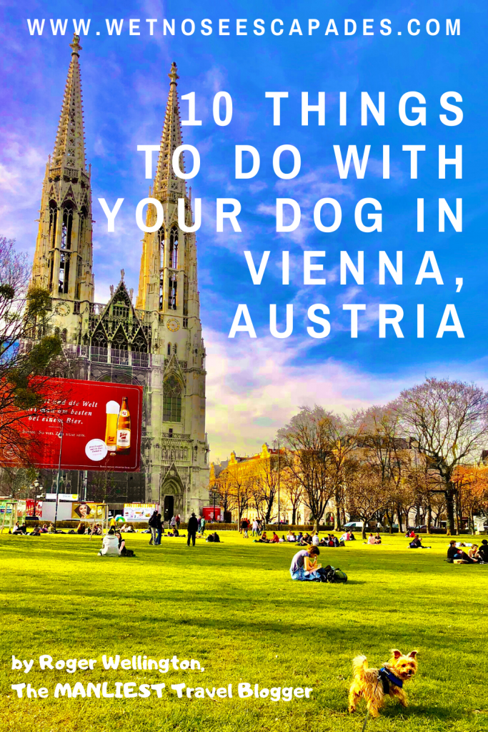 10 things to do with your dog in Vienna, Austria