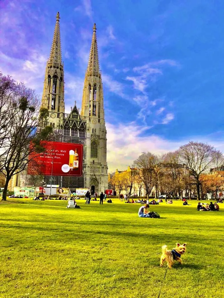 10 Things to do with your dog in Vienna, Austria
