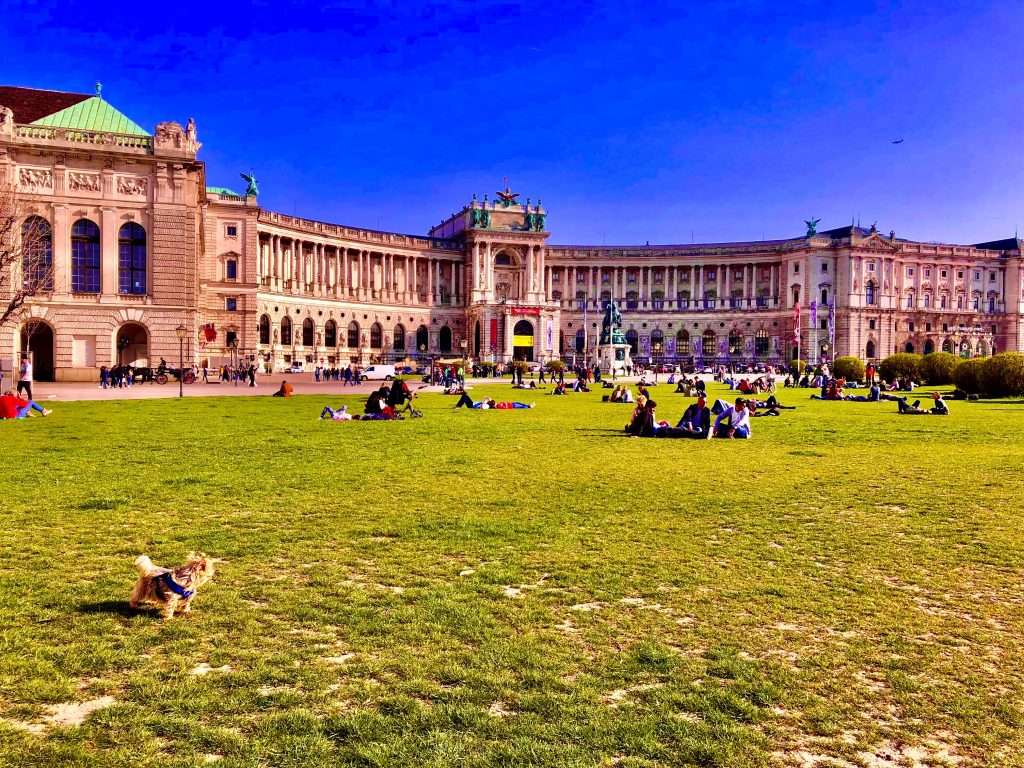 10 Things to do with your dog in Vienna, Austria