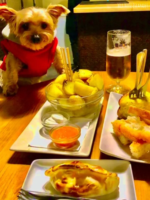 20 BEST Human Foods for Yorkies Updated 2024 Wet Nose Escapades