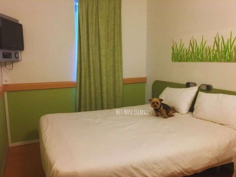 dog friendly hotels brugge