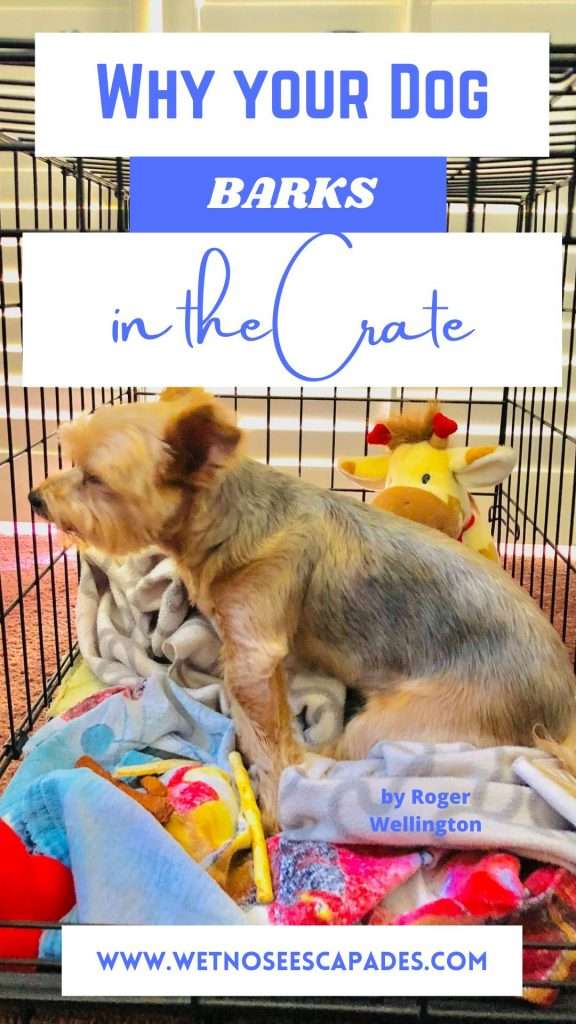 How to keep puppy from barking in clearance crate