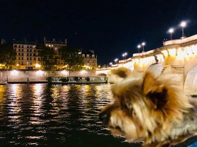 Roger Wellington studies the Parisians!