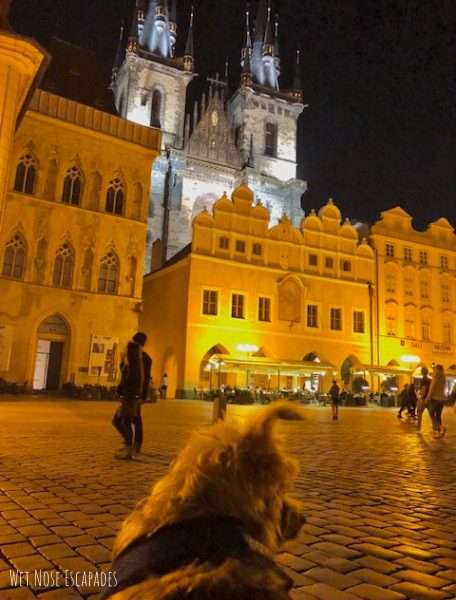 Dog-Friendly Prague: A Yorkie's Guide To Traveling To Prague, Czech ...