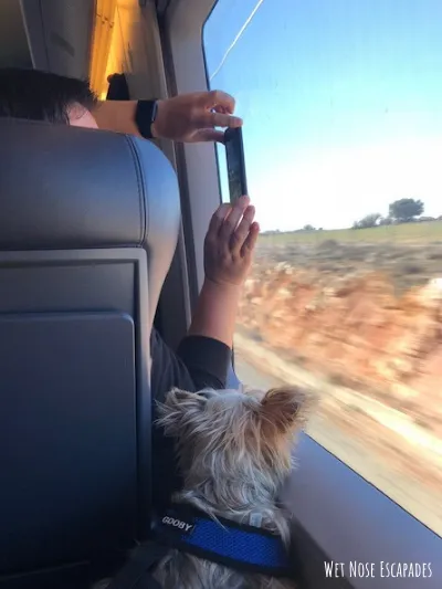 dog friendly trains in Spain