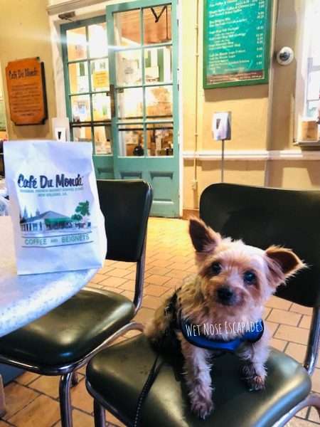 Cafe Du Monde_NOLA dog friendly restaurants