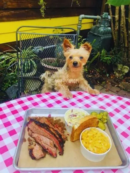 dog friendly restaurants nola
