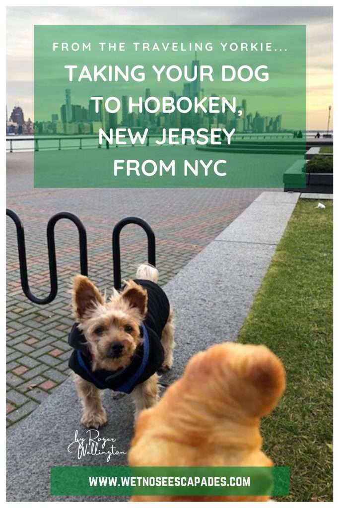 Taking Your Dog to Hoboken, NJ from NYC