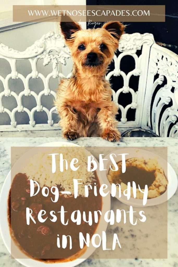 dog friendly restaurants and bars nola