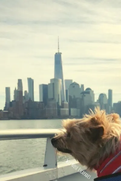 Travel Guide: New York City with your dog