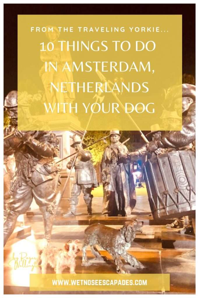 10 Things to do in Amsterdam, Netherlands with Your Dog