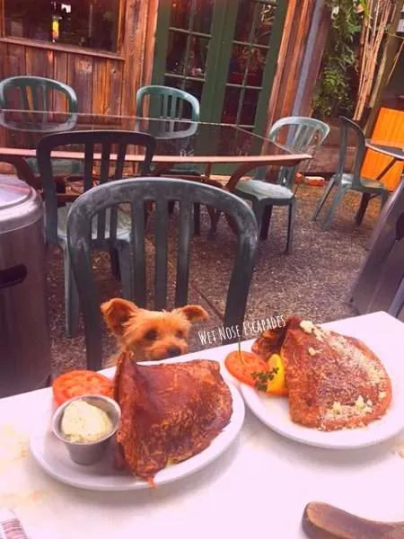 dog friendly restaurant in Santa Cruz, The Crepe Place
