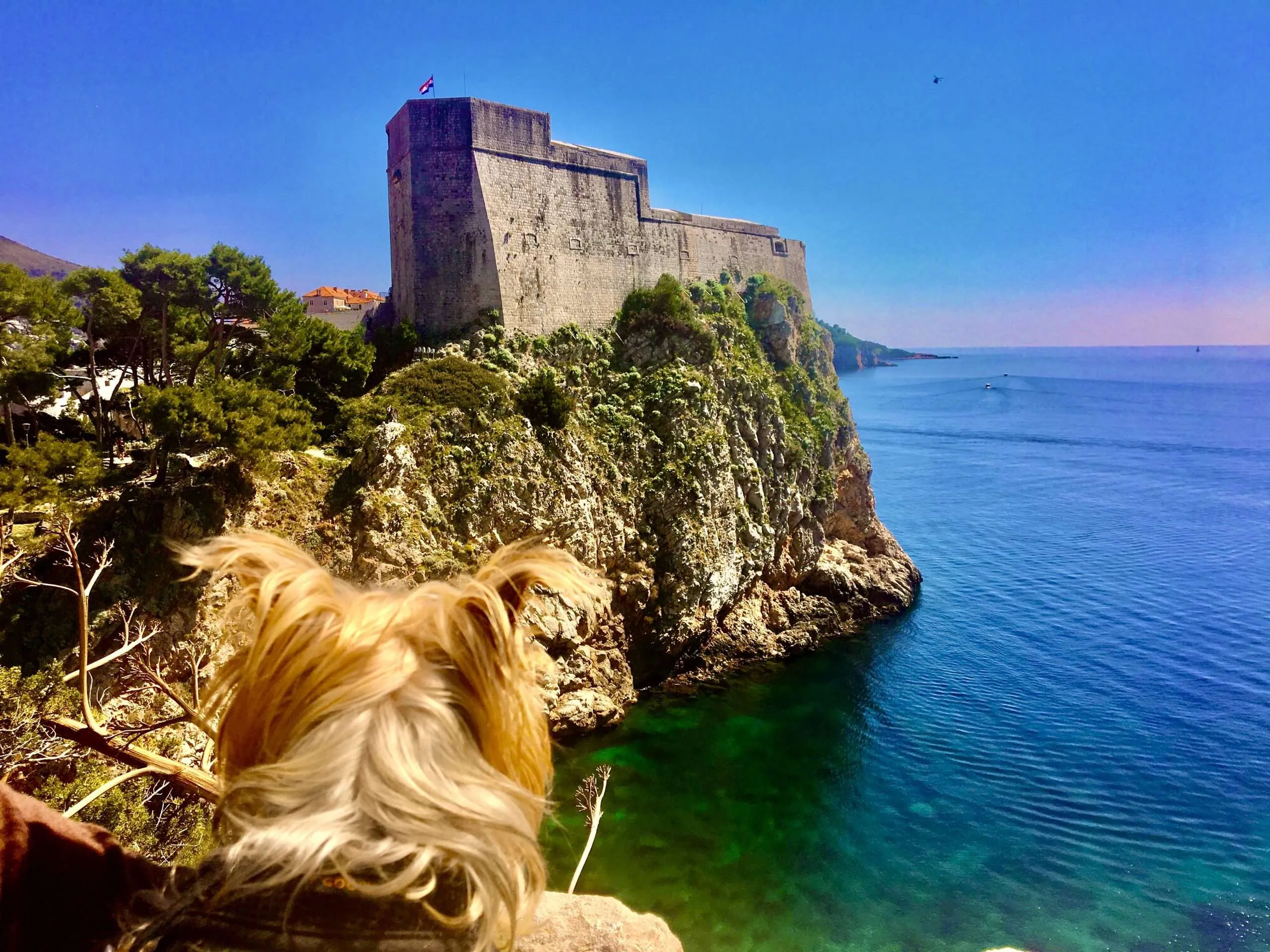 10 things to do with your dog in Dubrovnik, Croatia