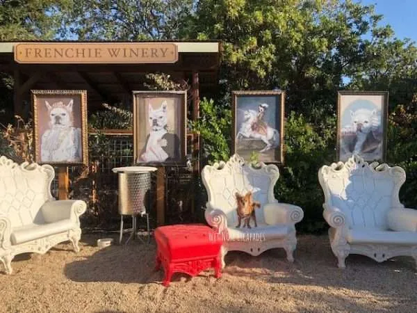 dog friendly wineries napa