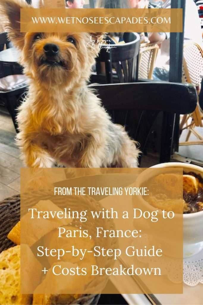 can dogs travel on paris metro