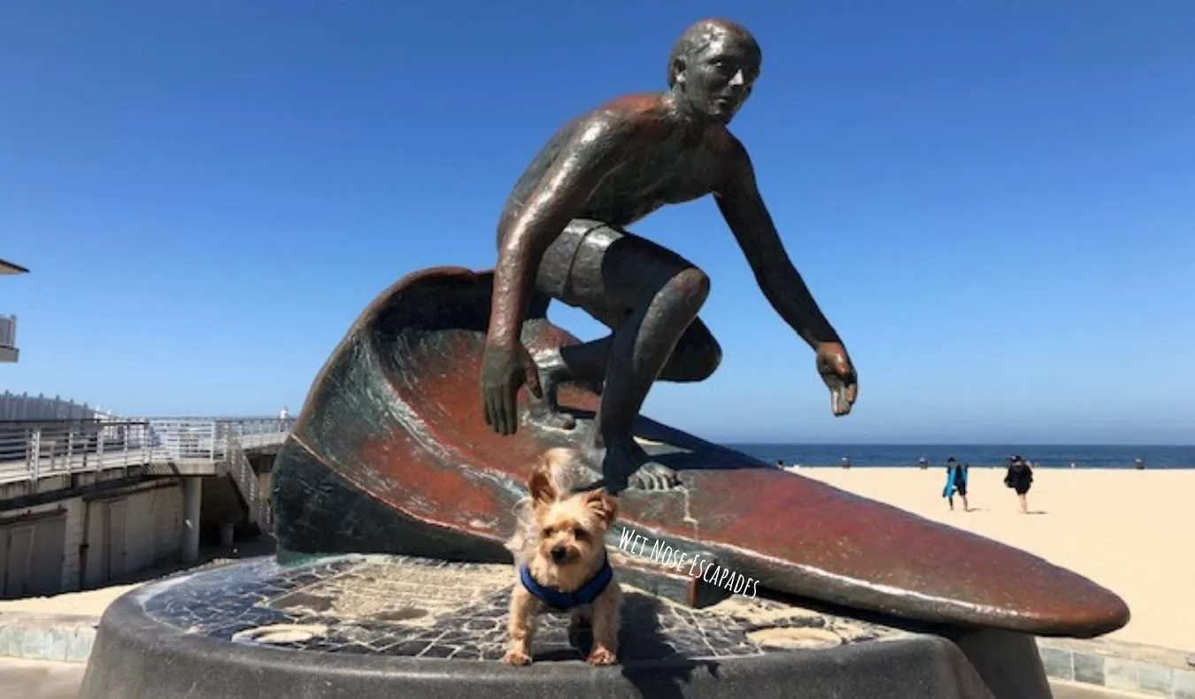 dog-friendly Hermosa Beach, dogs allowed on the beach?