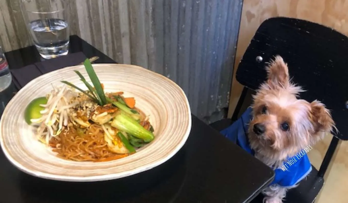 Dog Friendly Restaurants on the Upper East Side, NYC