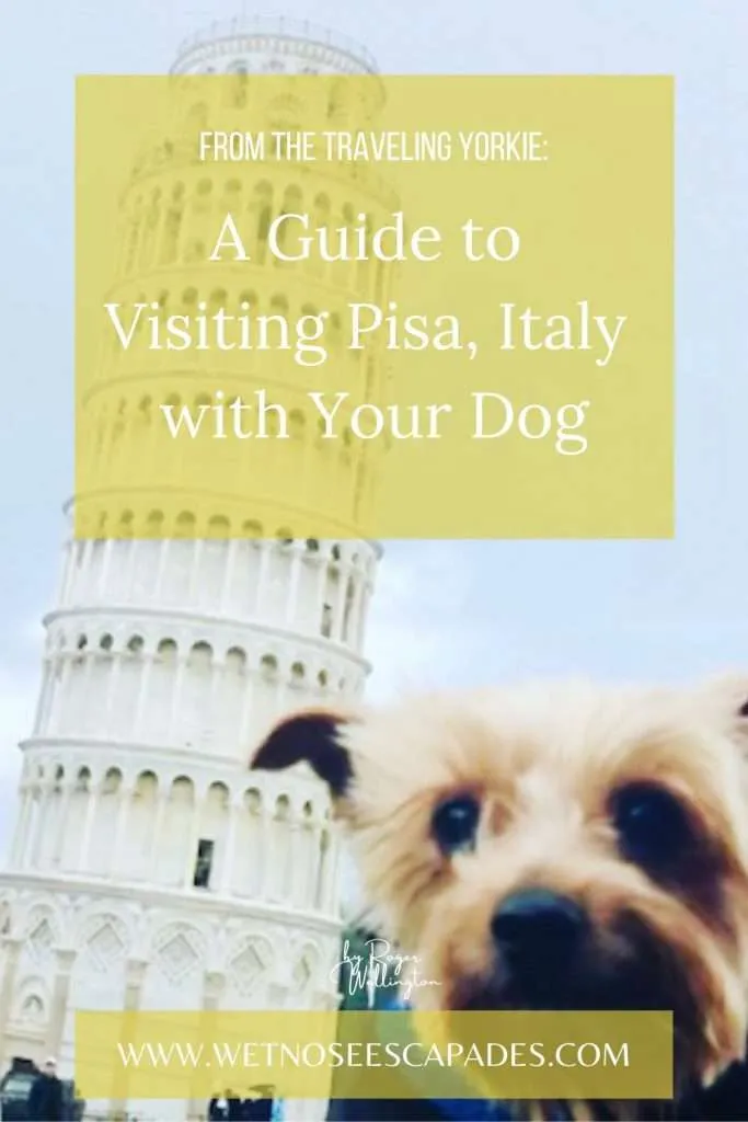 Day Trip to Pisa, Italy with Your Dog