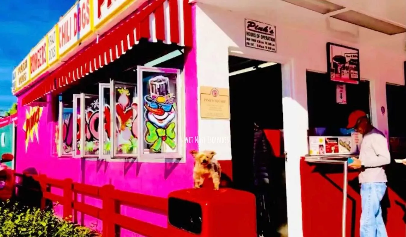 Yorkie dog at Pink's Hollywood, dog-friendly restaurants in LA