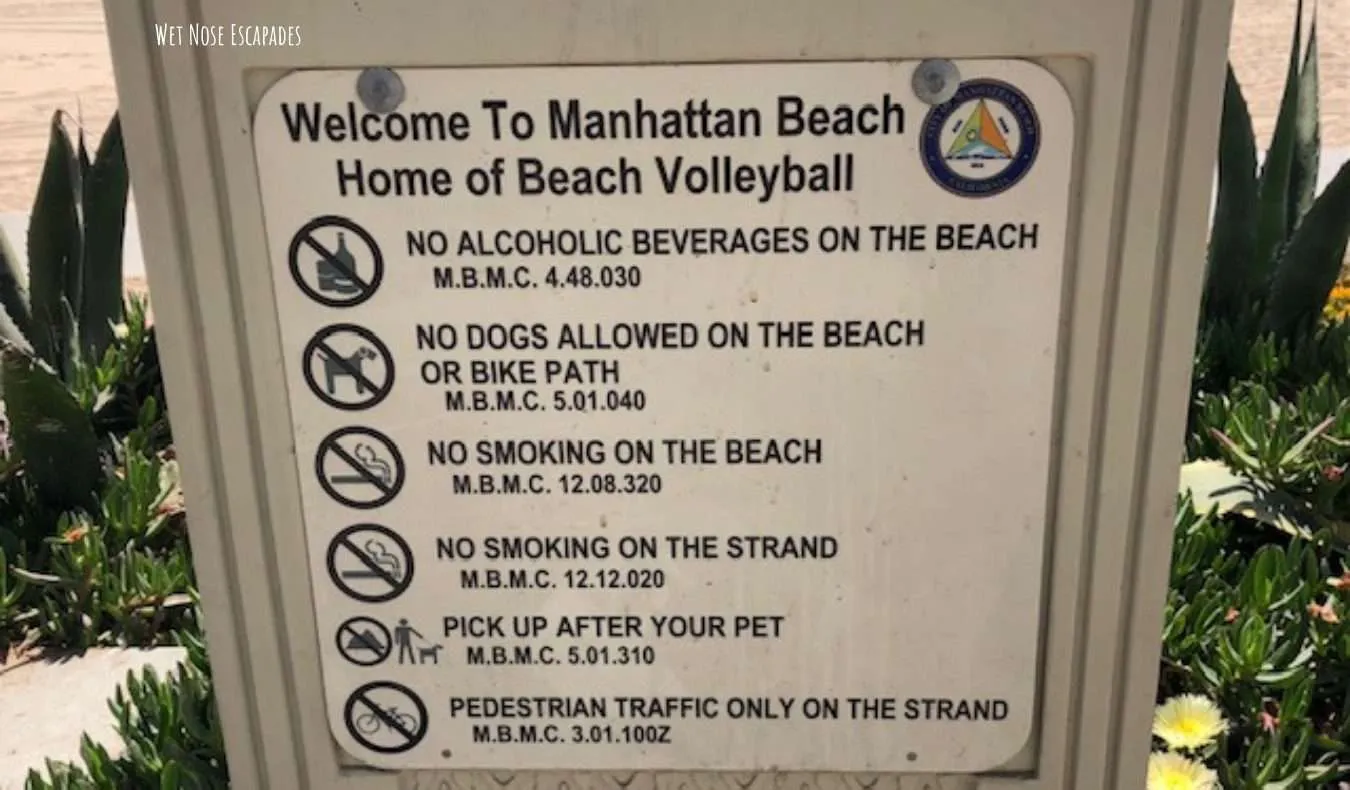 Manhattan Beach CA Dog-Friendly Beach Rules