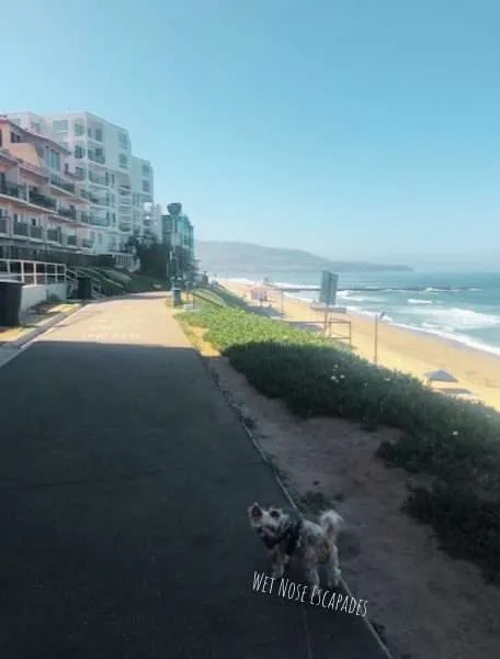 dog-friendly esplanade Redondo Beach