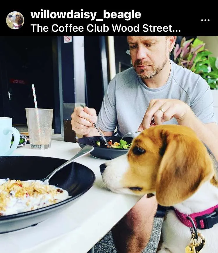 dog friendly restaurants in mackay queensland australia