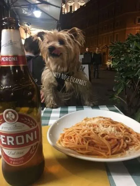 dog friendly restaurants in rome