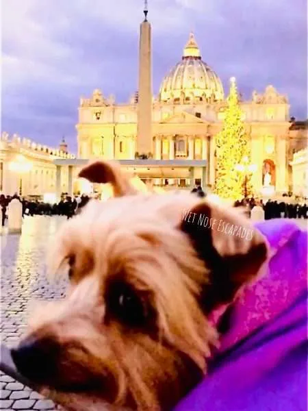 dog friendly vatican city