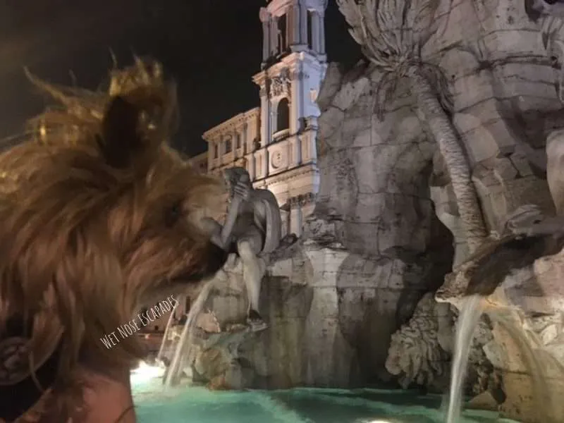 dog friendly fountains in rome, italy