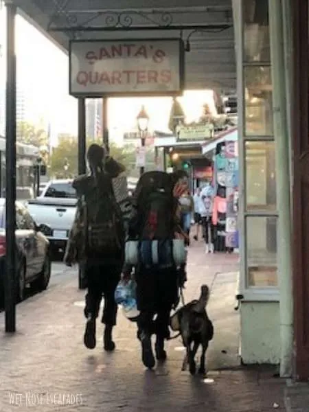 Homeless People with Dogs and Cats