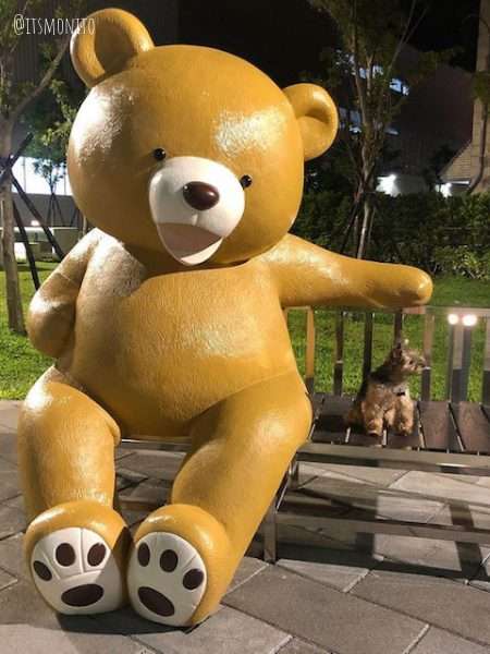 dog friendly park in Taichung