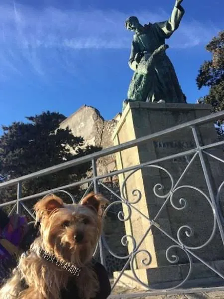 Visiting Cinque Terre with a DOG: A Yorkie's Italian Escapades