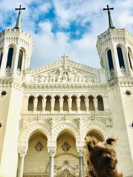 Dog-Friendly Lyon, France: A Yorkie BARKS What You MUST do with Your Dog in Lyon