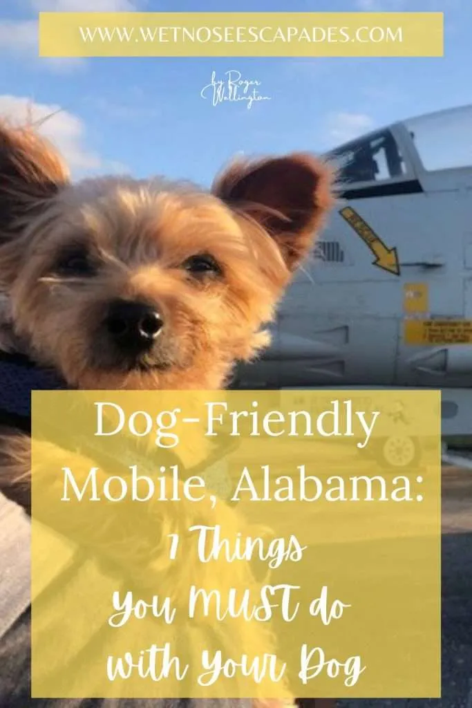 Dog-Friendly Mobile, Alabama: 7 Things You MUST do with Your Dog