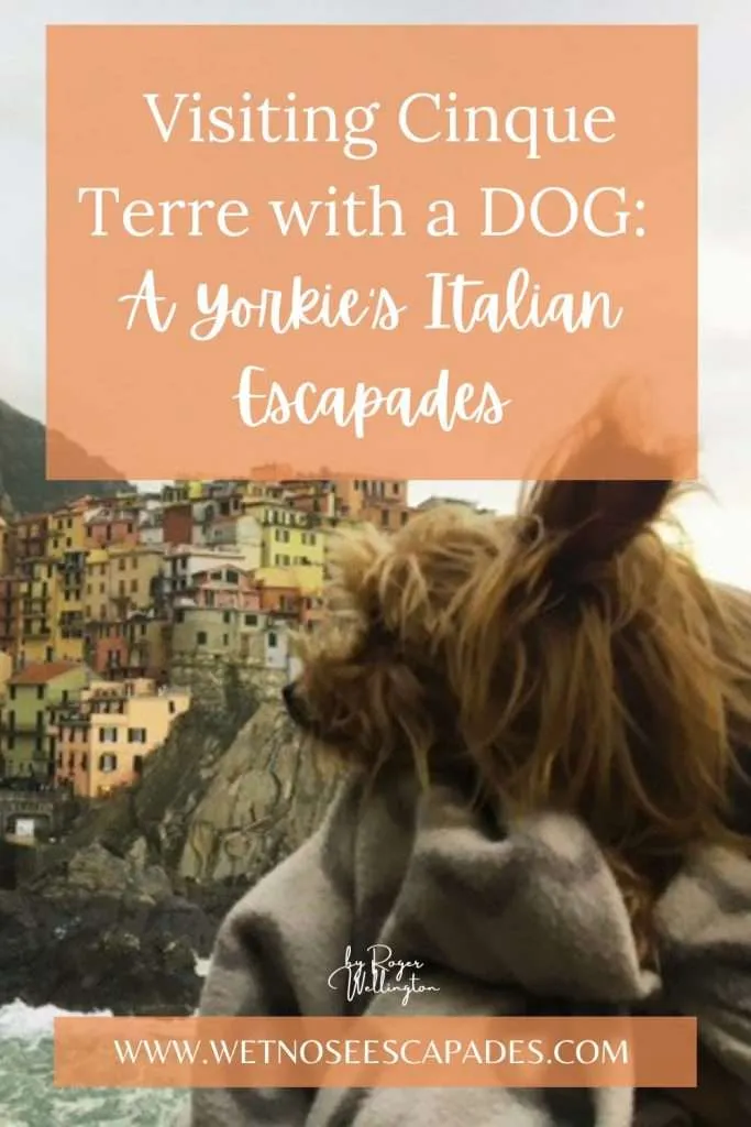 Visiting Cinque Terre with a DOG: A Yorkie's Italian Escapades