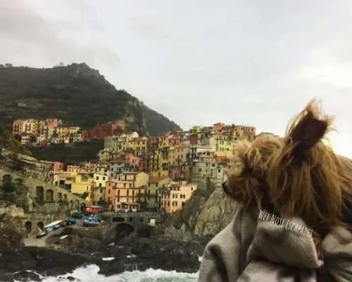 Visiting Cinque Terre with a DOG: A Yorkie's Italian Escapades