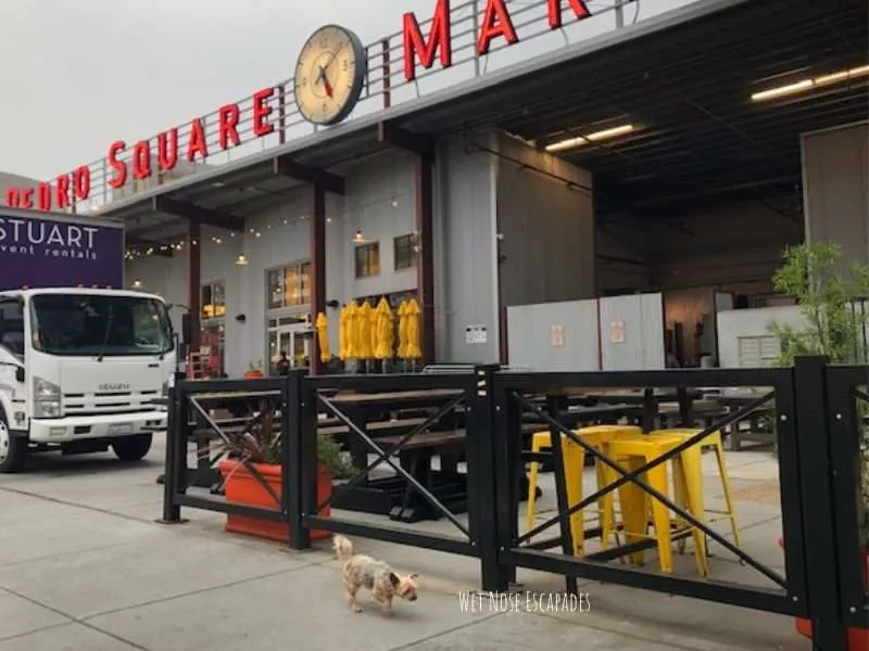dog friendly san pedro market square