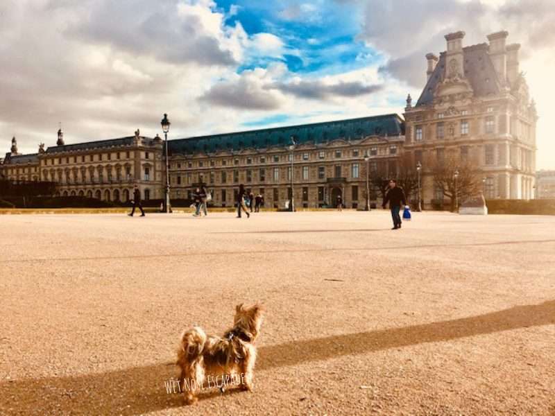 Pet Friendly Paris: Things to do in Paris with your Dog – Dont