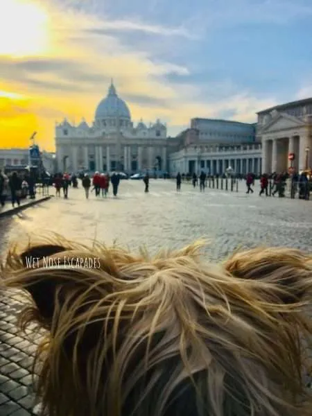 Is the Vatican City Dog-Friendly?