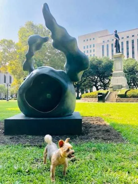 10 Things to do in New Orleans, LA with Your Dog